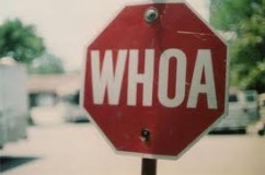 #welp: Adonis Ray “In The Morning” Video