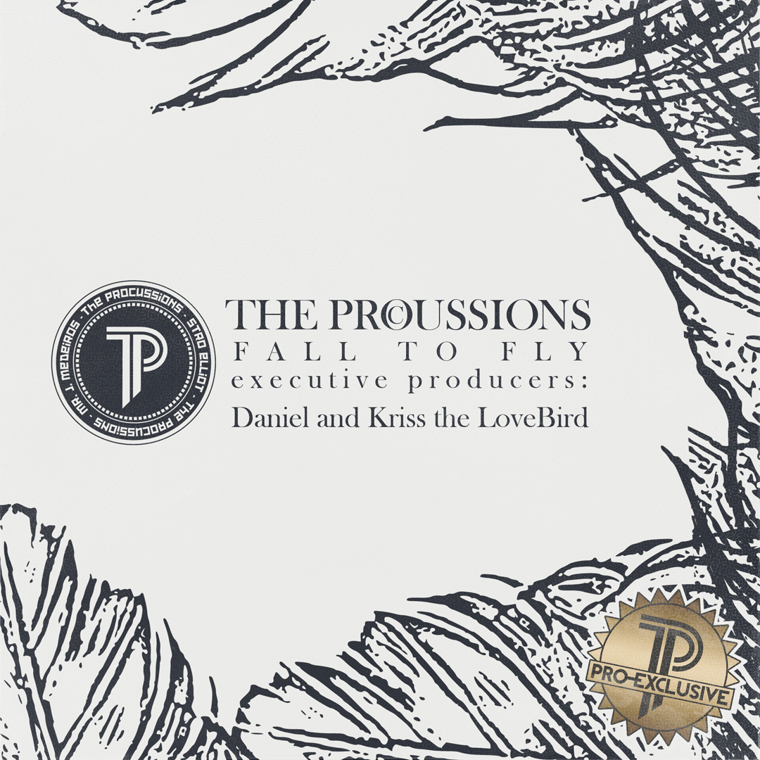 The Procussions "Fall to Fly" | @TheProcussions