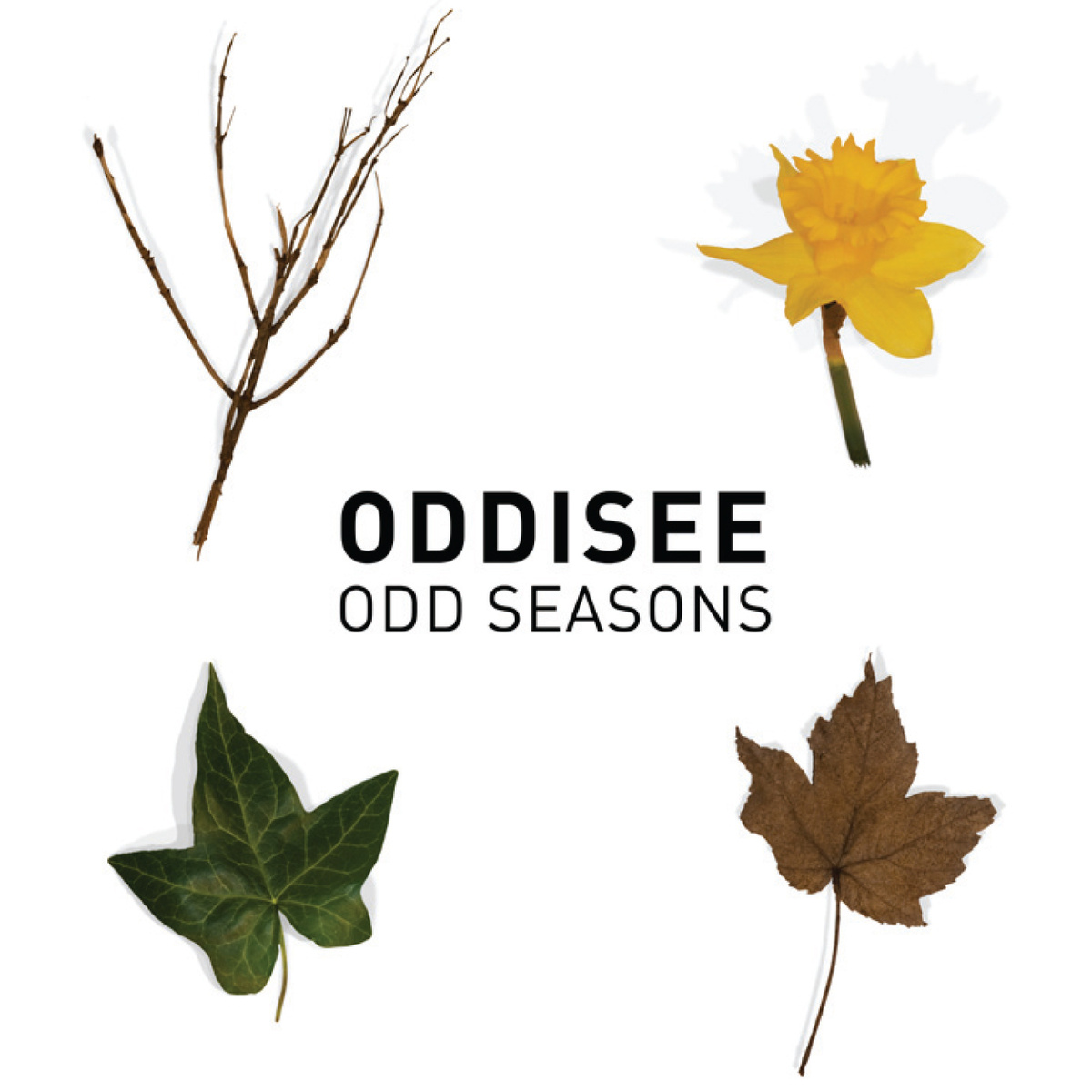 Oddisee "Odd Seasons" Release | @Oddisee