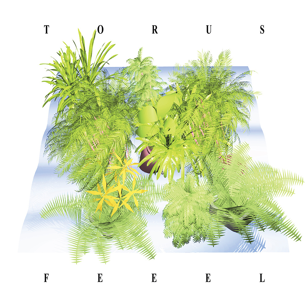 Torus "Feeel" Release | @Torussss