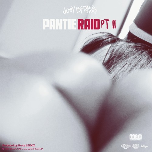 Joey Bada$$ "Pantie Raid Pt. II" (Prod. by Bruce Leekix) | @joeyBADASS_ @BRUC3733K1X