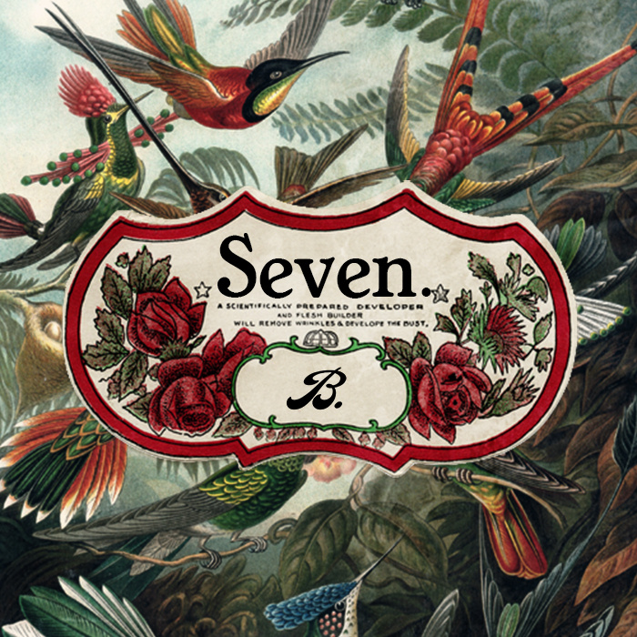 Braeden Bailey - "Seven." (Release) | @BraedenBailey0