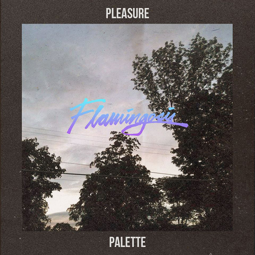 Flamingosis - "Pleasure Palette" (Release)