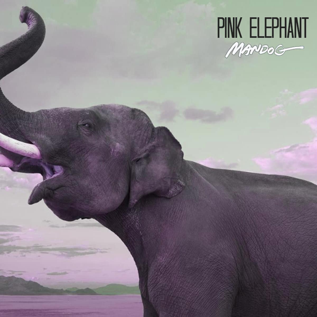 Mandog - "Pink Elephant" (Release)