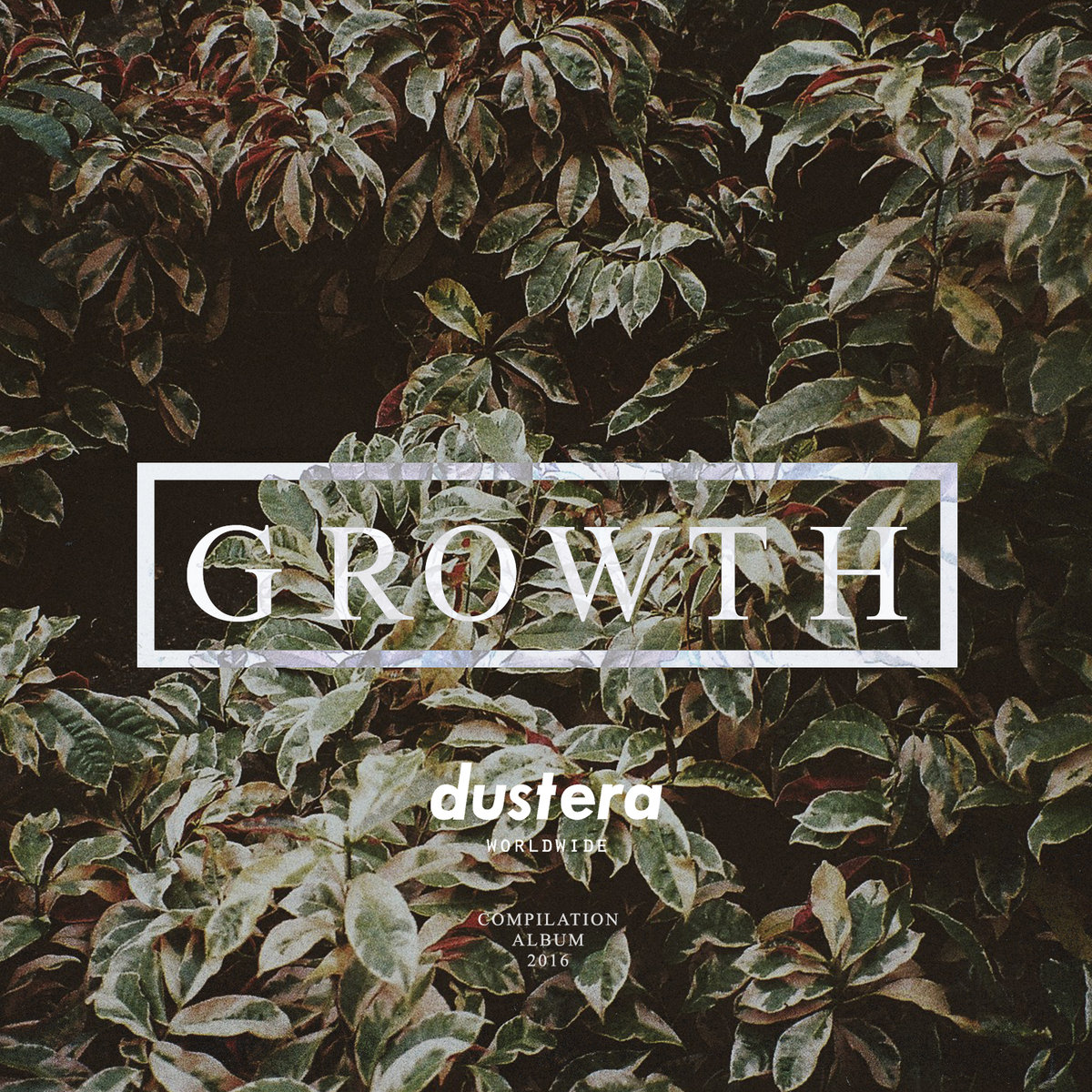 Dust Era - "Growth" (Release)
