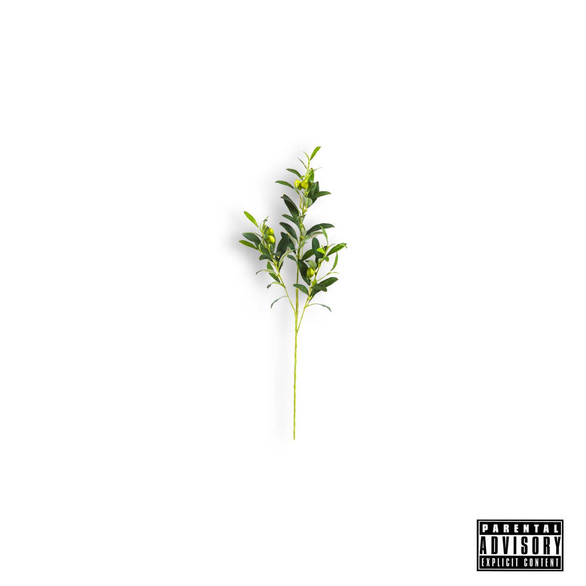 Locksmith - "Olive Branch" (Release)